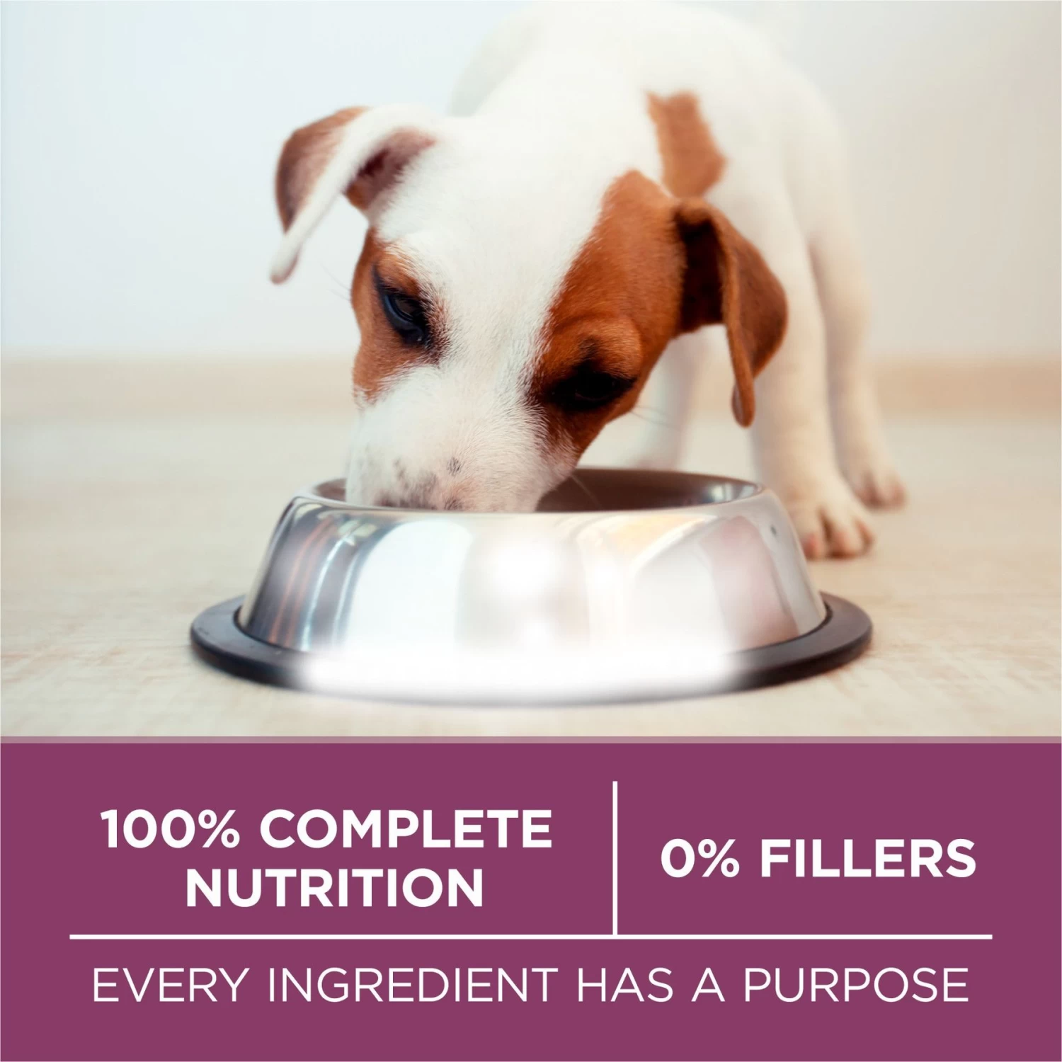 Purina ONE +Plus Natural High Protein Healthy Puppy Formula Dry Puppy Food - Image 7