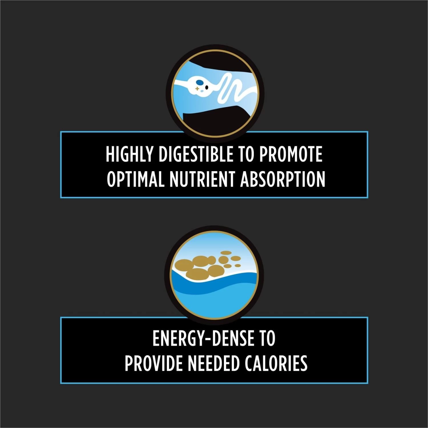 Purina Pro Plan Veterinary Diets CN Critical Nutrition Wet Dog & Cat Food - Image 3