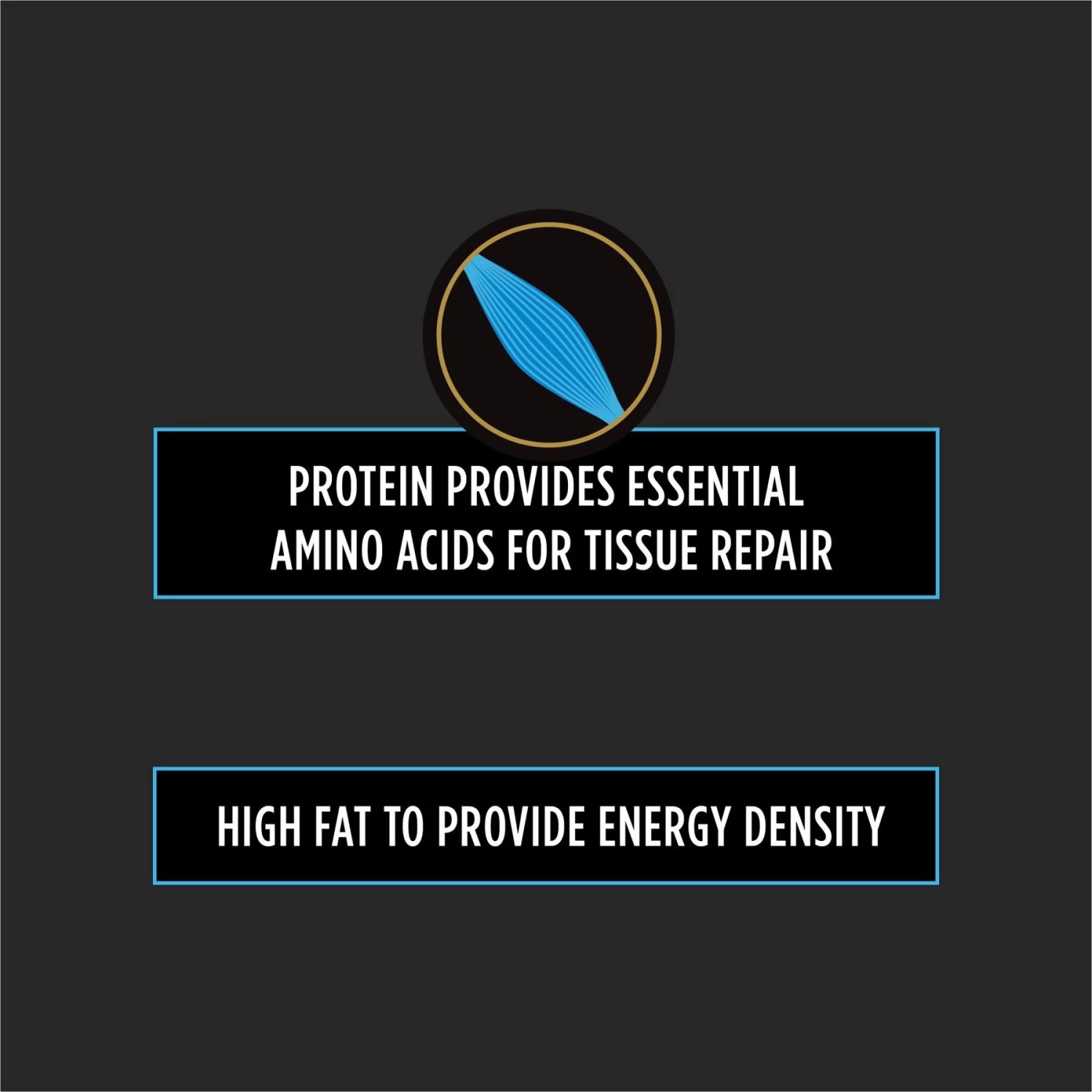 Purina Pro Plan Veterinary Diets CN Critical Nutrition Wet Dog & Cat Food - Image 5