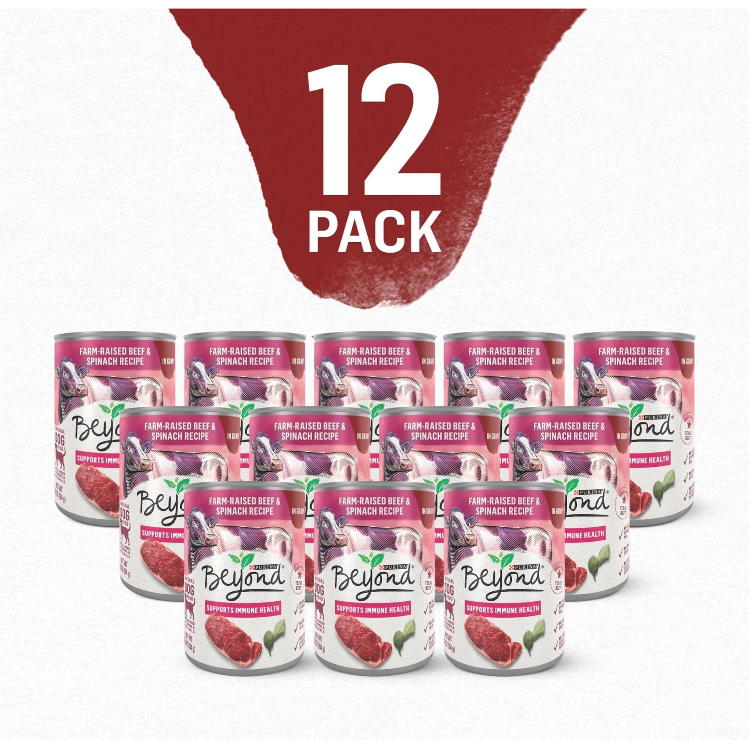 Purina Beyond Farm-Raised Beef & Spinach In Gravy Recipe Canned Dog Food - Image 2