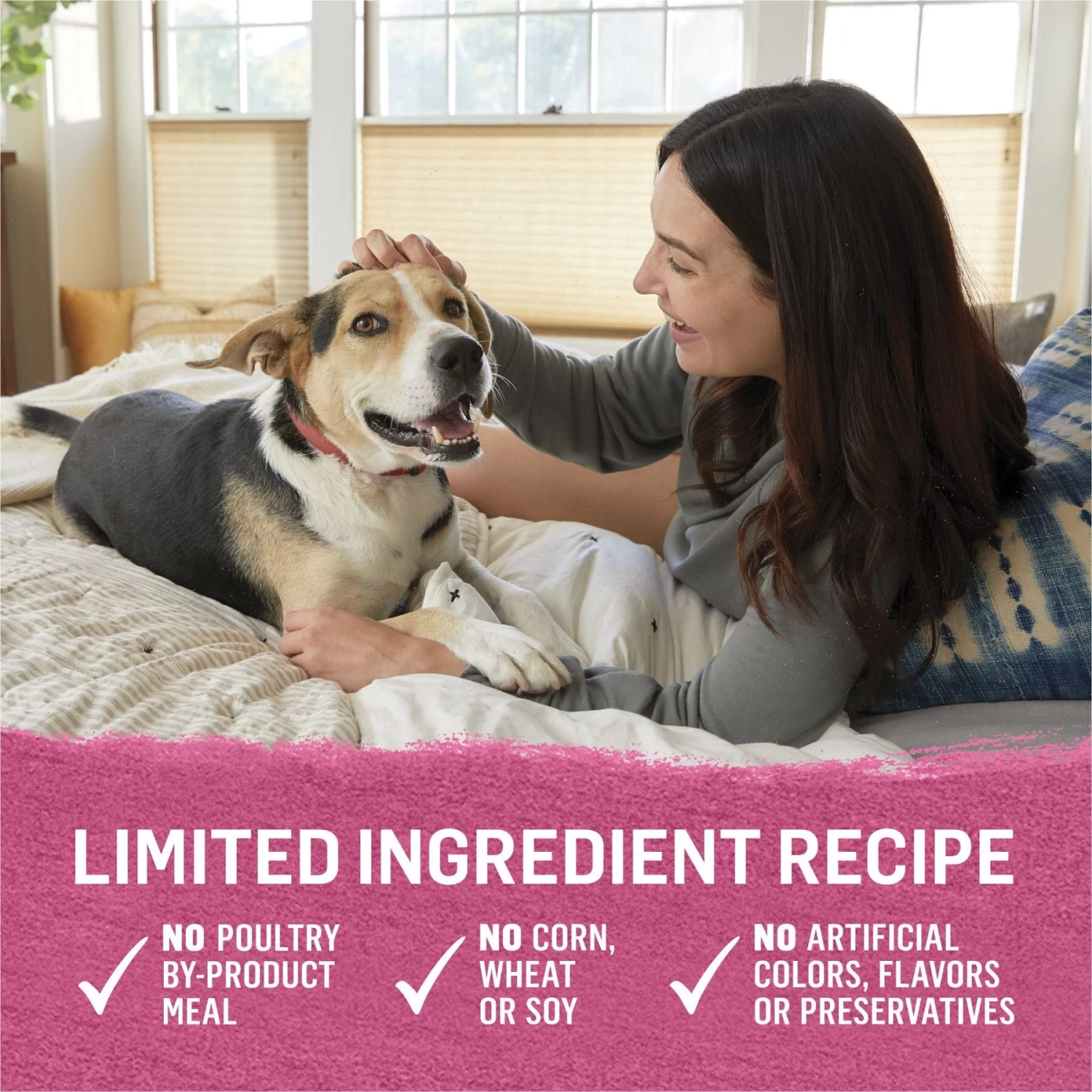 Purina Beyond Farm-Raised Beef & Spinach In Gravy Recipe Canned Dog Food - Image 6