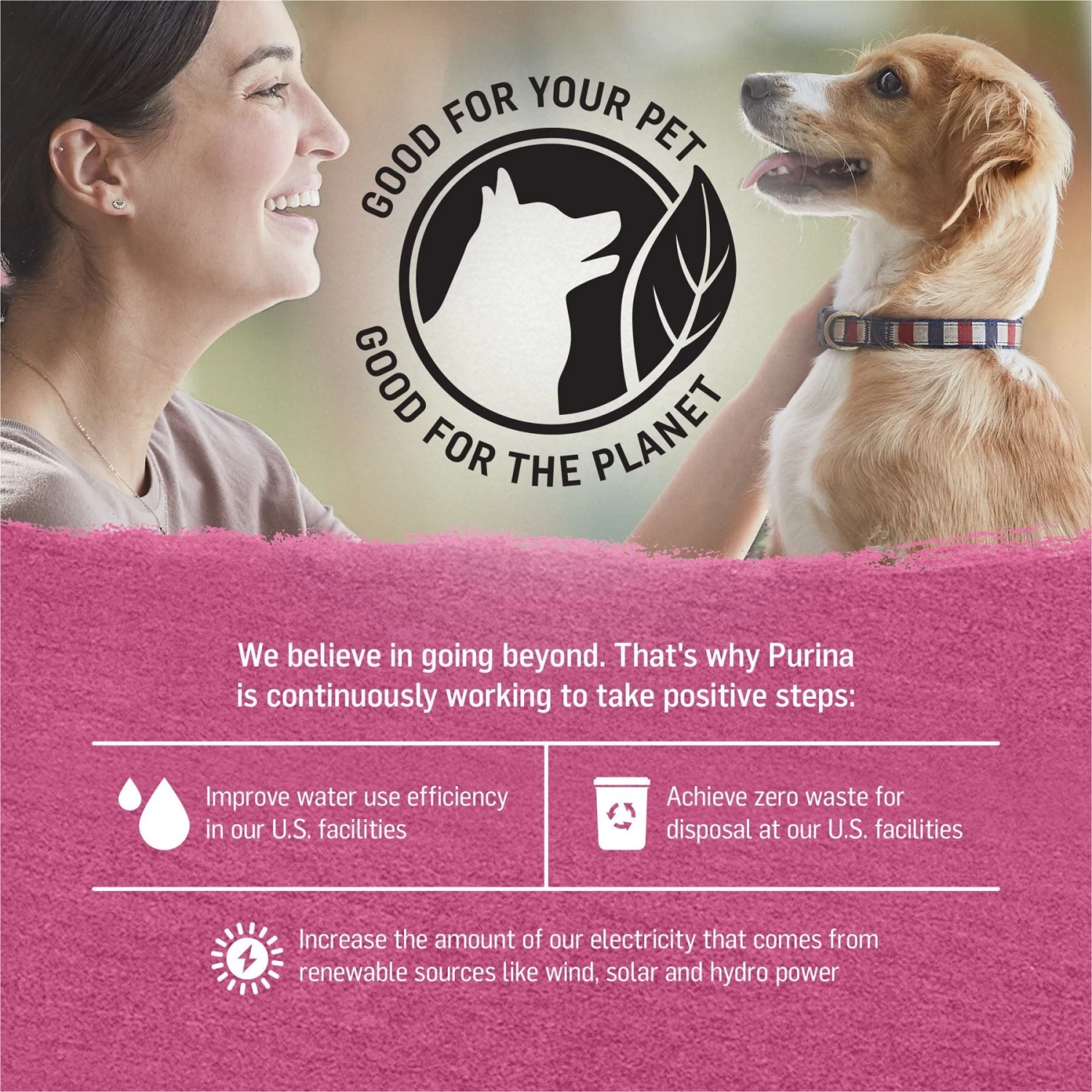 Purina Beyond Farm-Raised Beef & Spinach In Gravy Recipe Canned Dog Food - Image 7