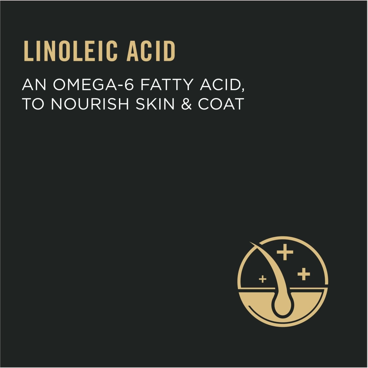 Purina Pro Plan Focus Adult Urinary Tract Health Formula Dry Cat Food & Purina Pro Plan Focus Urinary Tract Health Seafood Favorites Variety Pack Canned Cat Food, 3-oz Can, Case Of 24 - Image 5